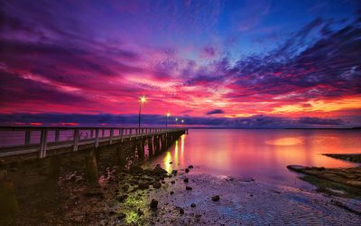 JW0011_IMG_3562